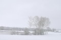 La campagne sous la neige